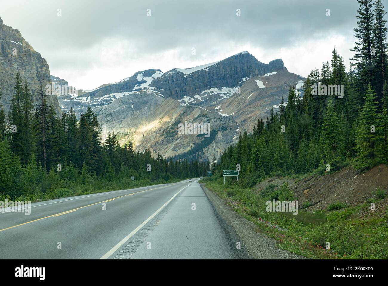 An aerial view of road surrounded by dense trees and mountains Stock ...