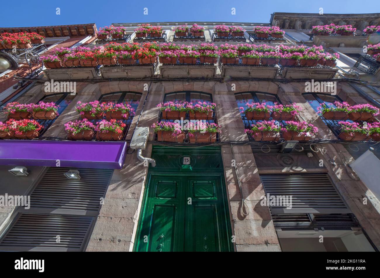 Calle Ancha balconies. Building decorated with  pink flowers planters, Leon, Spain Stock Photo