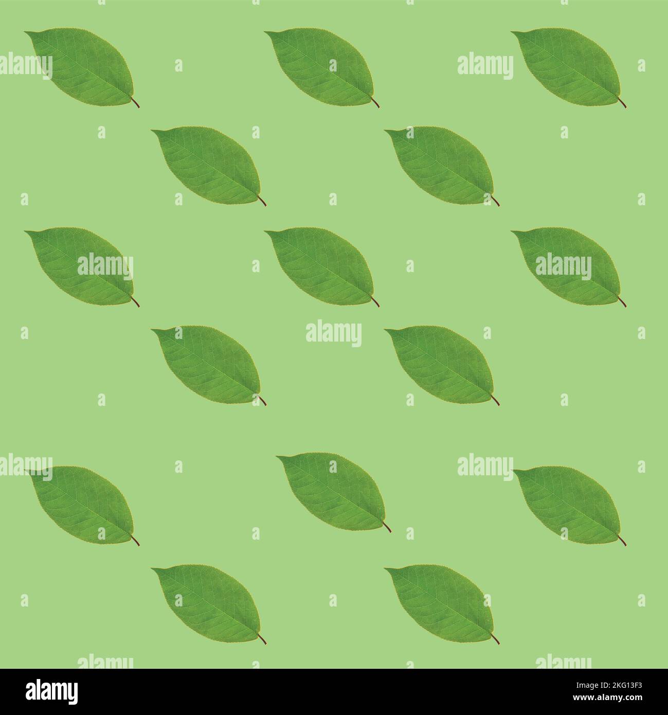 3D Leaf Pattern Background Stock Vector