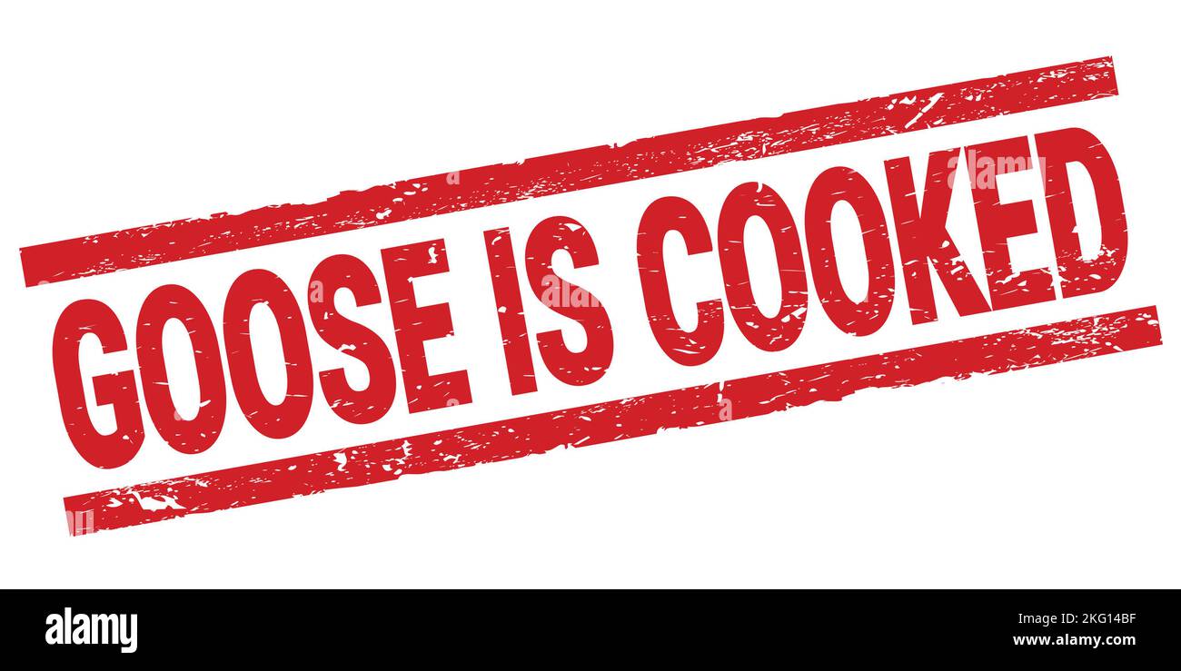 GOOSE IS COOKED text written on red rectangle stamp sign. Stock Photo