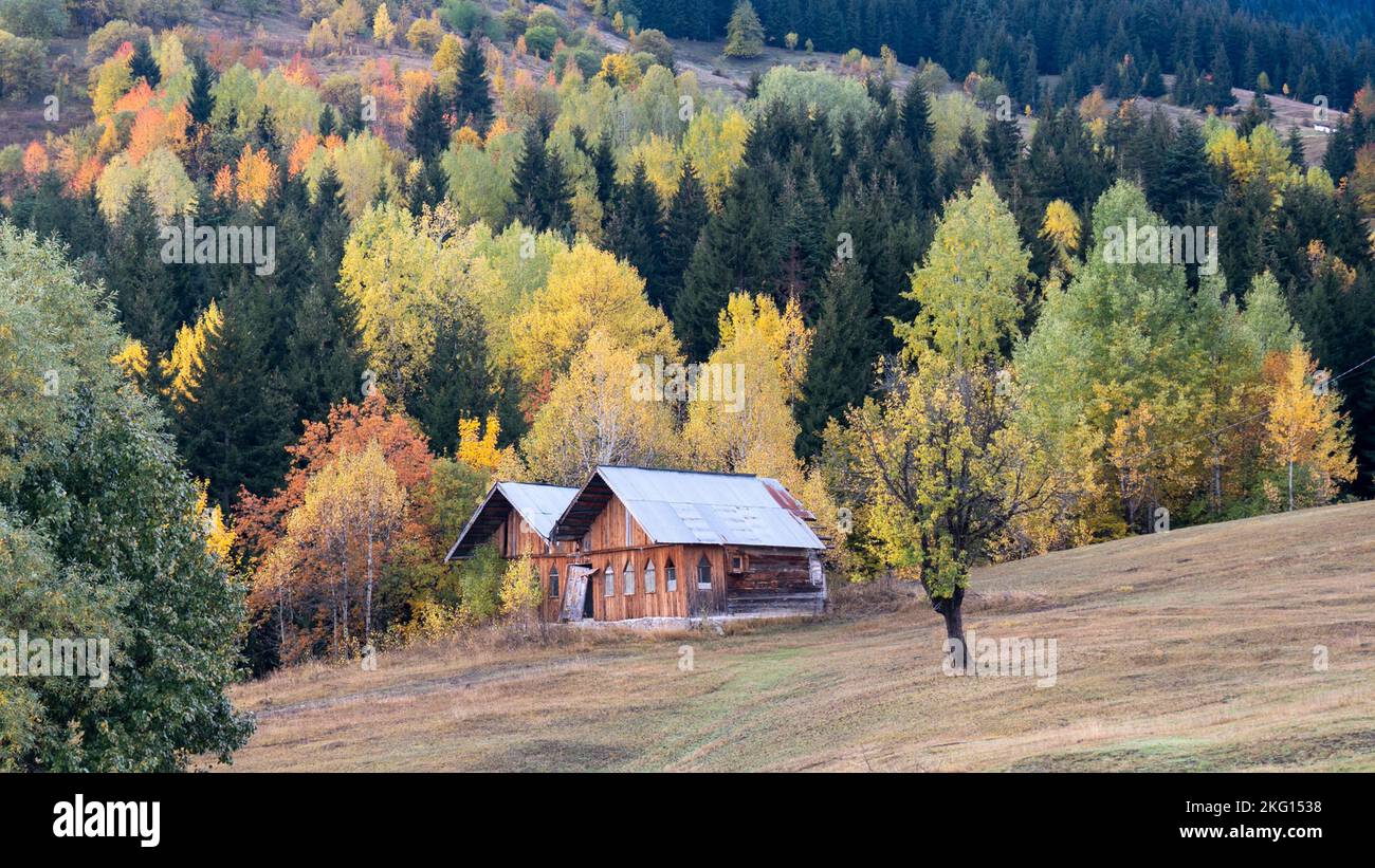A wooden house in hills covered in a forest in autumn in Artvin, Savsat Stock Photo