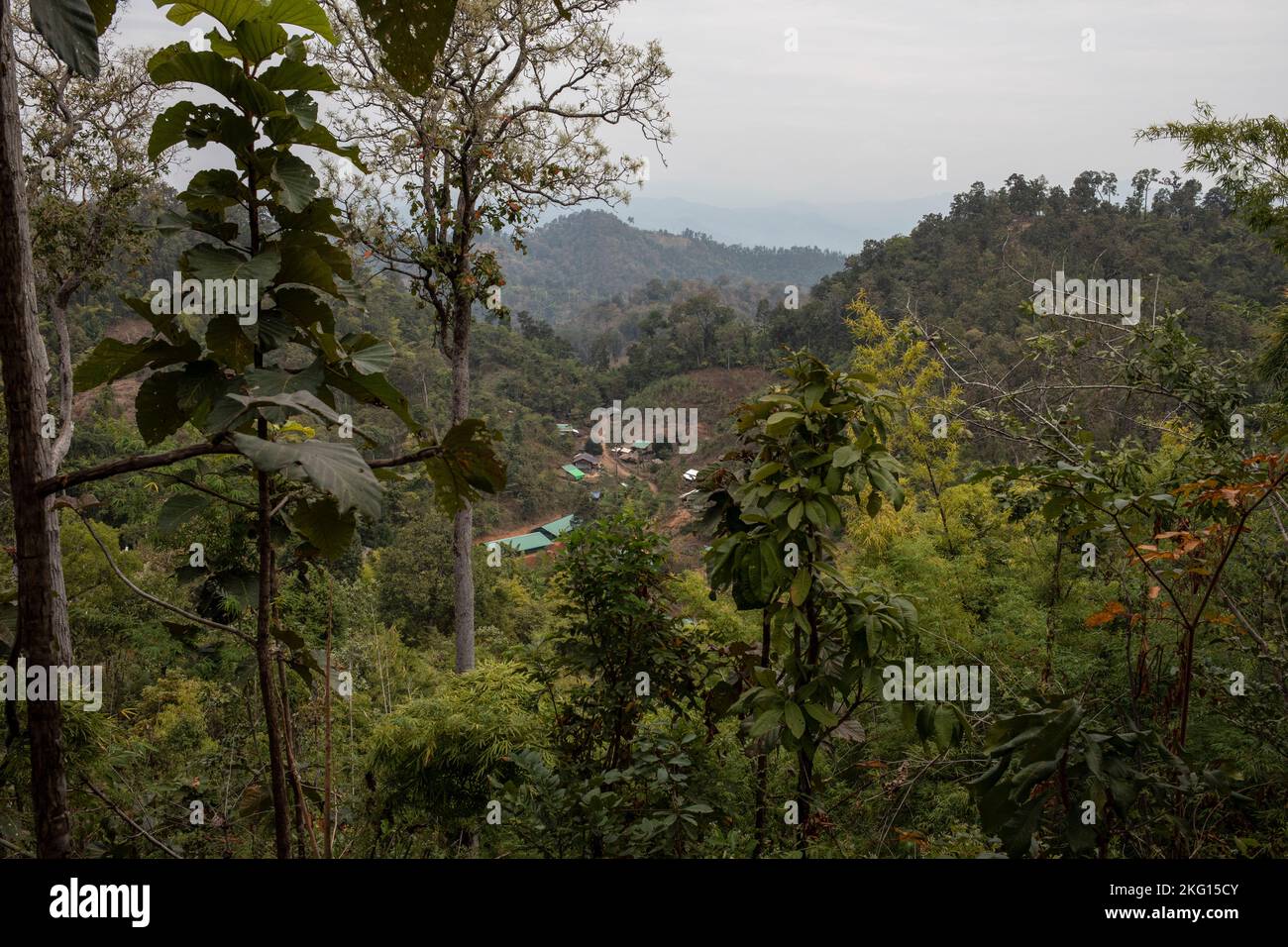 An internally displaced family recently arrives to safety after a five-day walk in a forested area on January 15, 2022, close to the border of Thailan Stock Photo