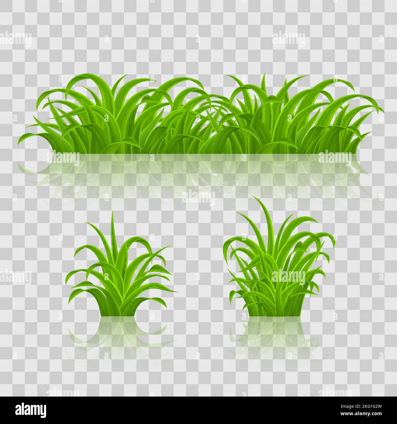 Backgrounds of Green Grass. Isolated on Transparent Background Stock ...
