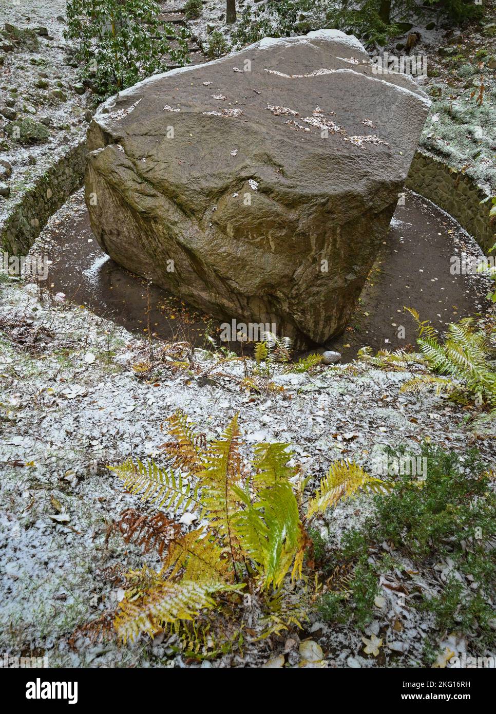 Kobbeln, Germany. 18th Nov, 2022. A little snow lies on the boulder 'Kobbelner Stein'. In one of the smallest villages of Brandenburg, between Neuzelle and Beeskow, lies one of the largest stones in the country. It was discovered in 1921 and later uncovered. The erratic boulder made of hornblende-rich syenite granite is a remnant from the last ice age and comes from the Baltic Sea island of Bornholm. Measuring 7.30 meters long, 5.25 meters wide and 4.52 meters high, the stone weighs 256 tons. Credit: Patrick Pleul/dpa/Alamy Live News Stock Photo