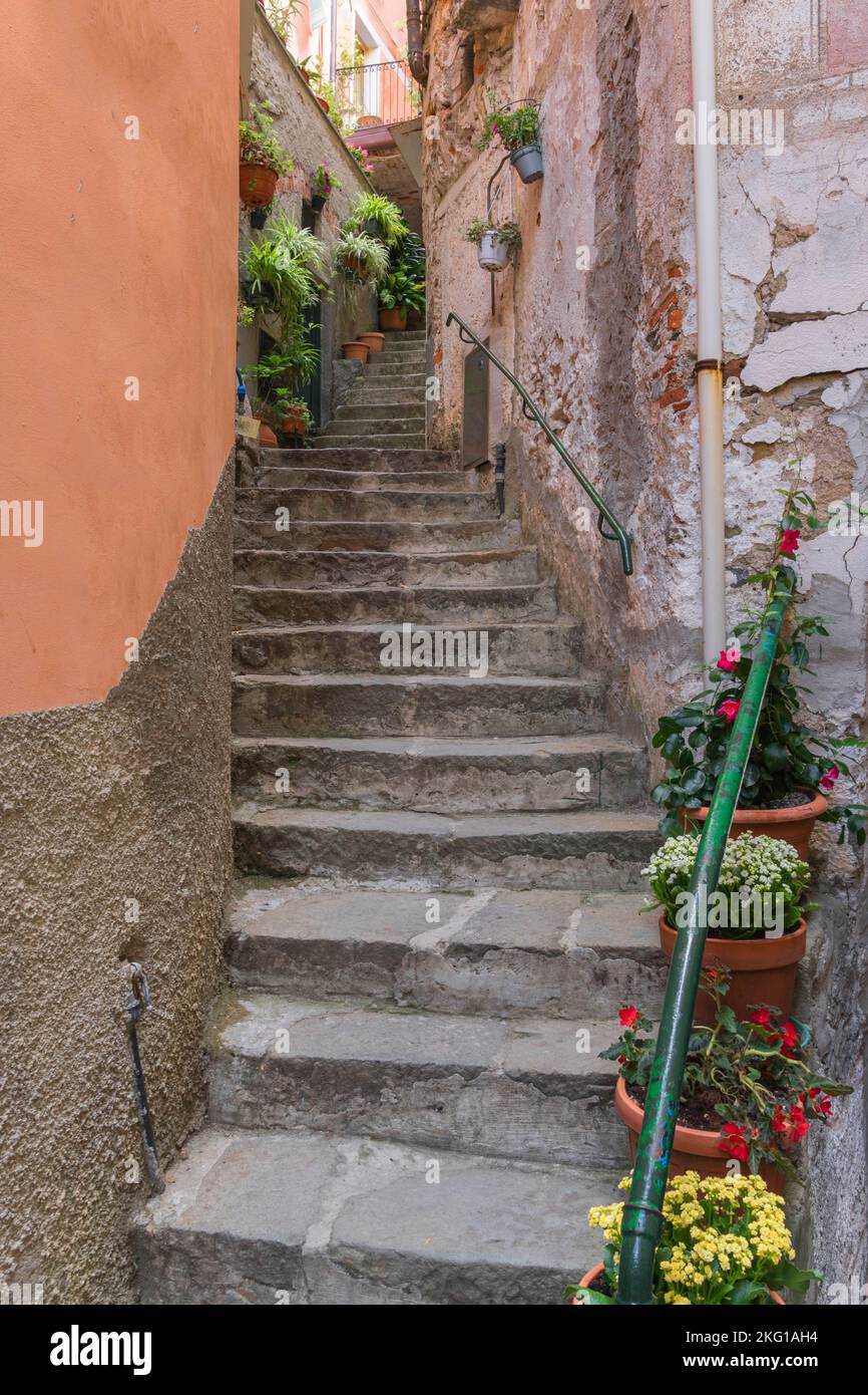 The steps of Vicolo Della Valle (alley of the valley) lined with potted plants. Riomaggiore Cinque Terre Northern Italy. September 2022 Stock Photo