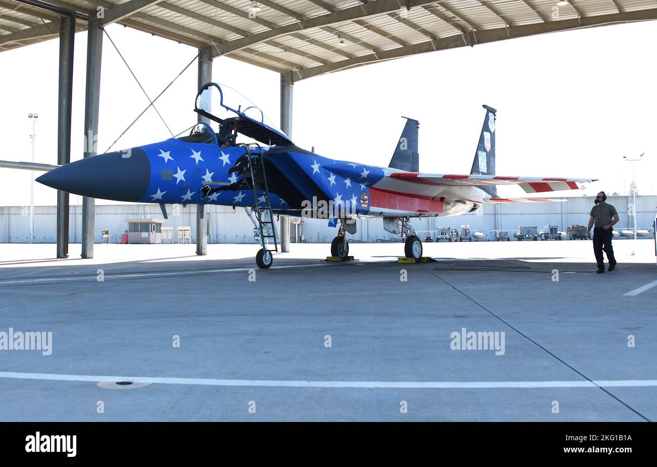 144th Fighter Wing Id Card