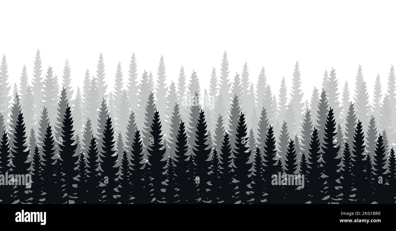 Panorama of dense forest, fir and pine natural green landscape, web ...