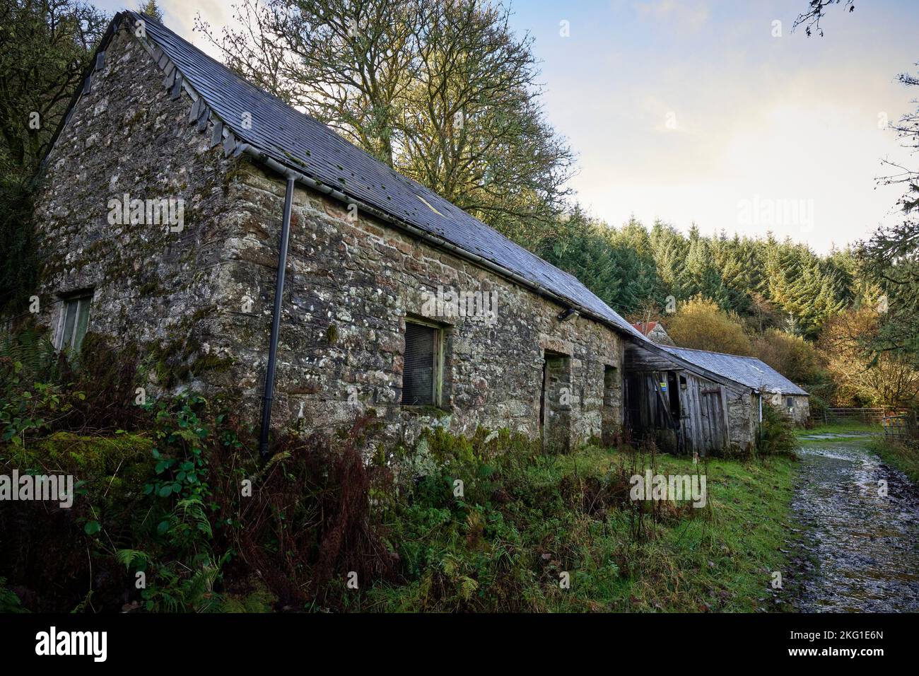 Abandoned Laughter Hole Farm, Bellever, Dartmoor Stock Photo