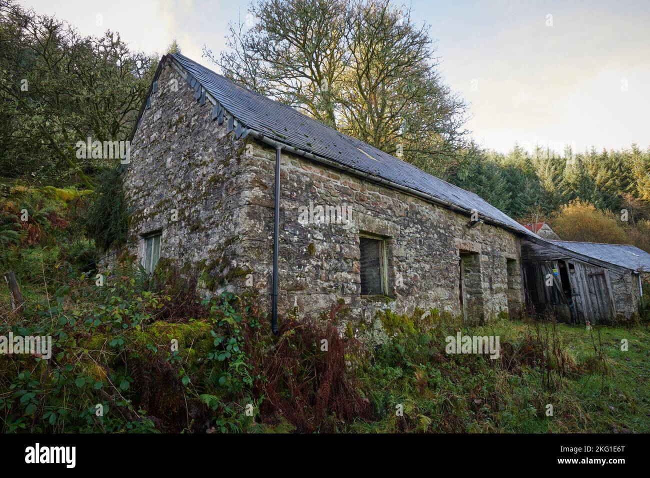 Abandoned Laughter Hole Farm, Bellever, Dartmoor Stock Photo