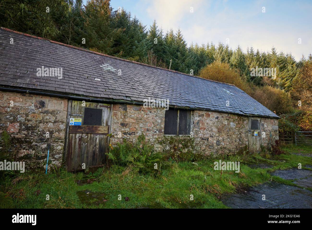 Abandoned Laughter Hole Farm, Bellever, Dartmoor Stock Photo