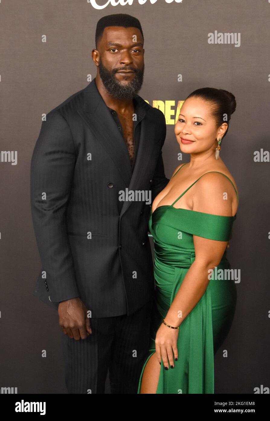 Los Angeles, California, USA. 20th Nov, 2022. Actor Michael James Shaw