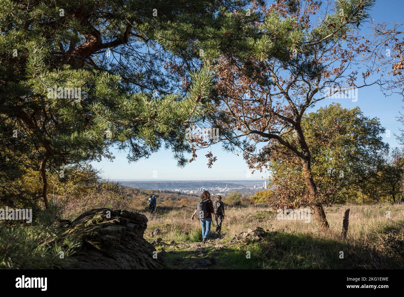 hikers at the Stenzelberg mountain in the Siebengebirge hill range near Koenigswinter, view to the city of Bonn, North Rhine-Westphalia, Germany. Wand Stock Photo