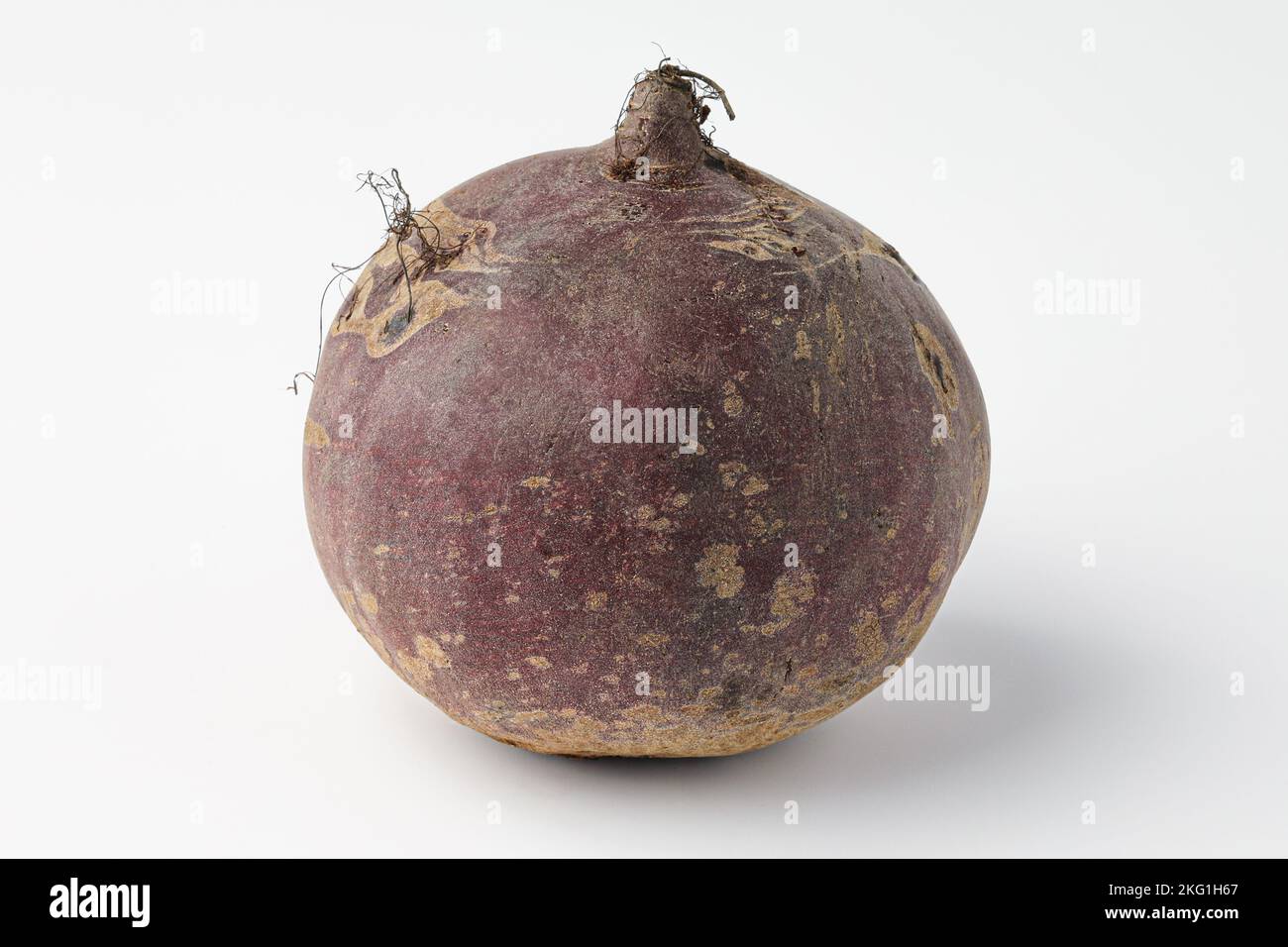 beet, beta vulgaris isolated on white background Stock Photo