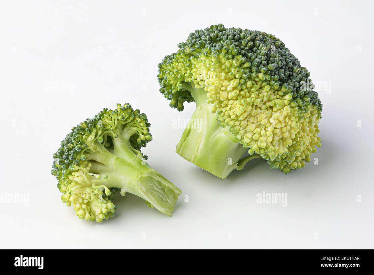 broccoli, mini broccoli, small broccoli isolated on white background ...