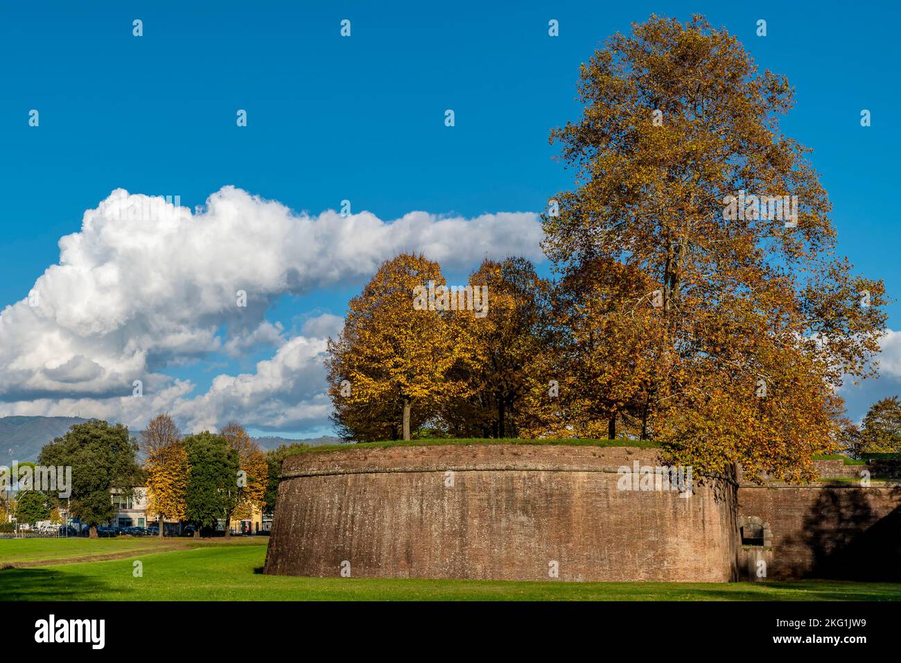 The trees on the ancient perimeter walls of Lucca, Italy, with the colorful autumn hues, under a beautiful sky Stock Photo