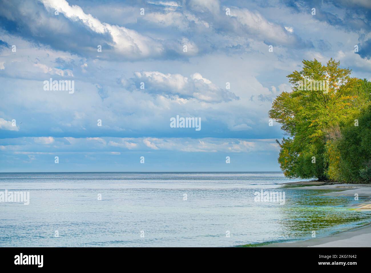 landscape, sandy beach with trees and water, coastline Stock Photo