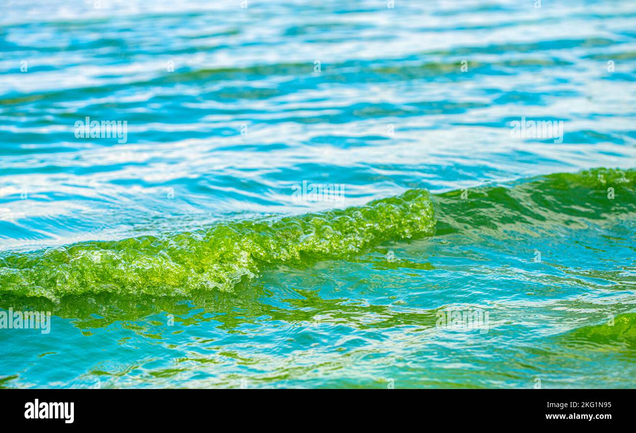 Background blue water surface hi-res stock photography and images - Alamy
