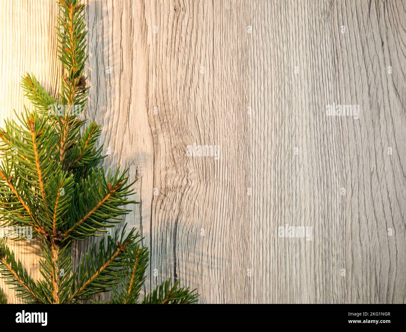 Fir branch on a wood background Stock Photo