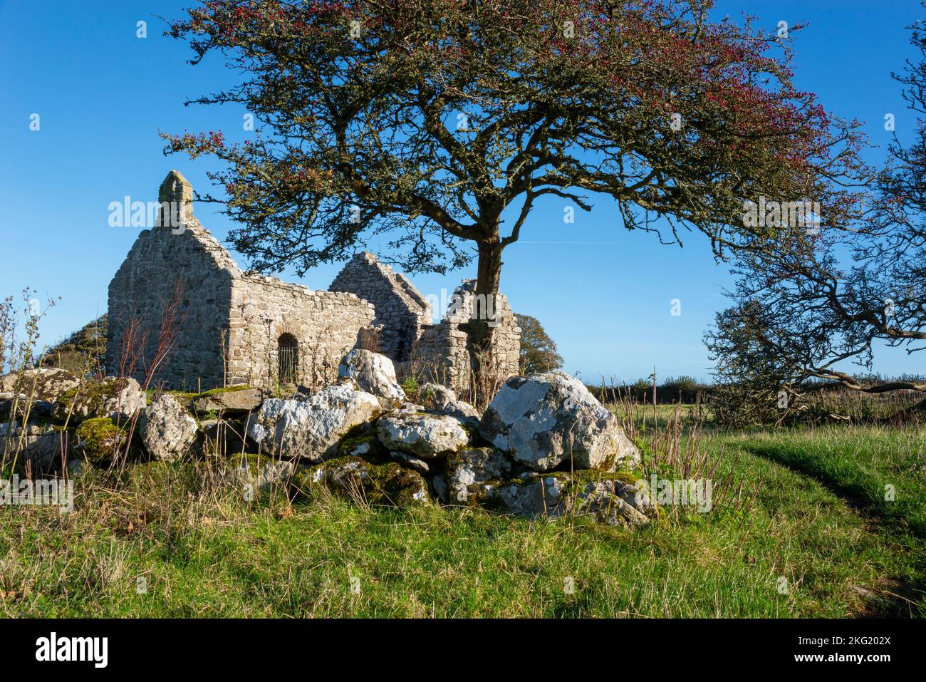 Capel Lligwy, a 12th century ruined building near Moelfre on the coast of Anglesey, North Wales. Stock Photo