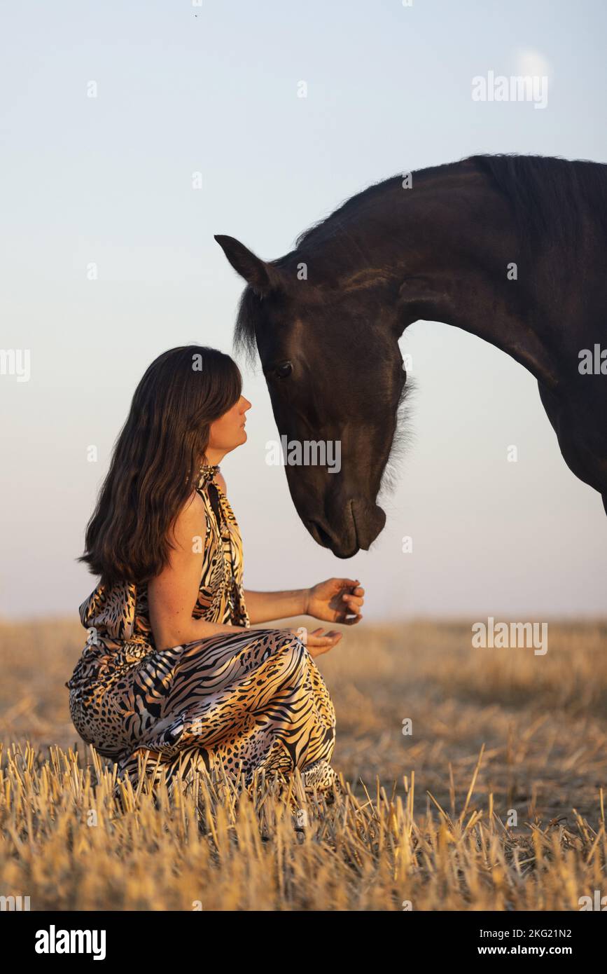 young woman with friesian mare Stock Photo