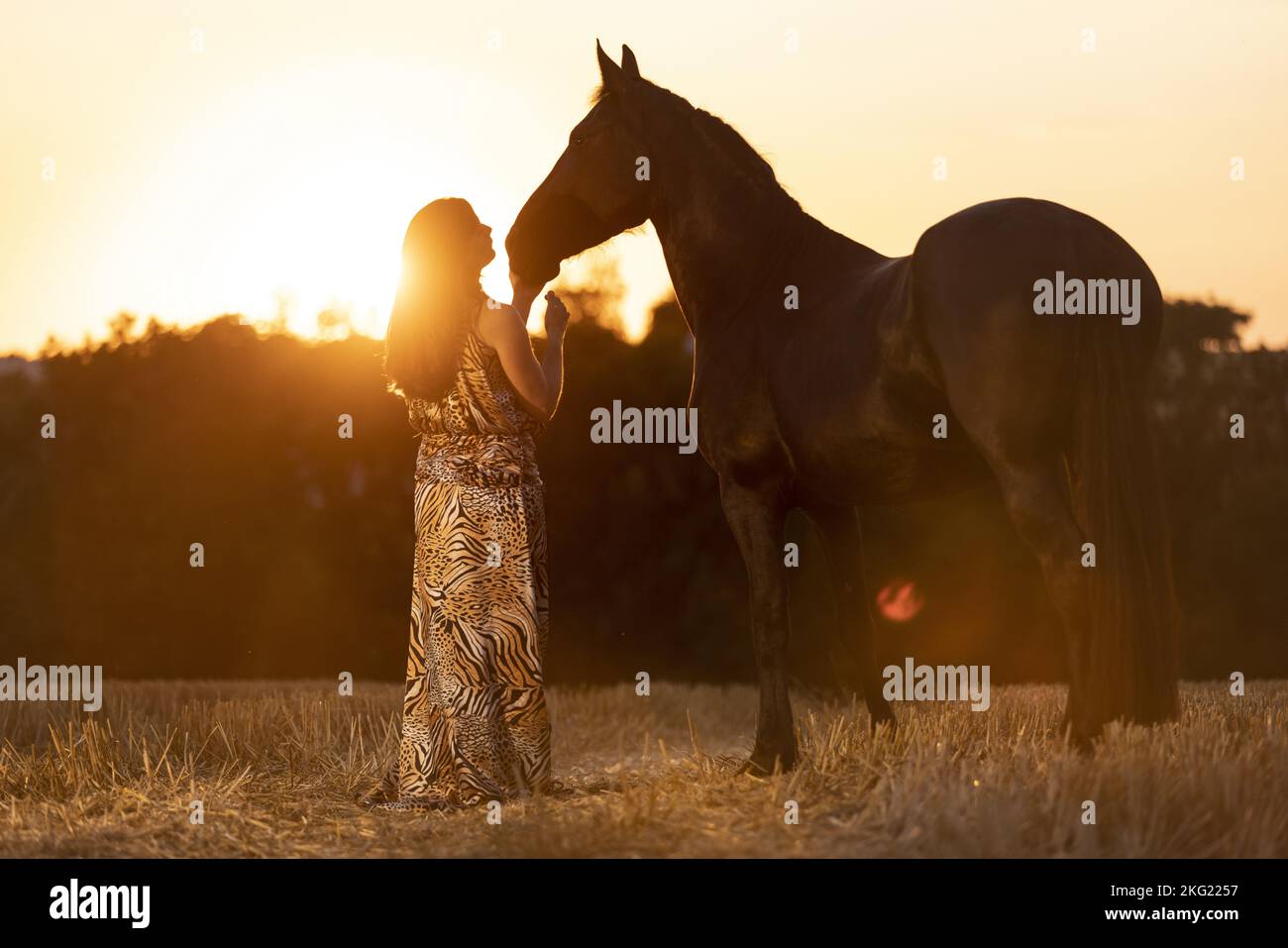 young woman with friesian mare Stock Photo