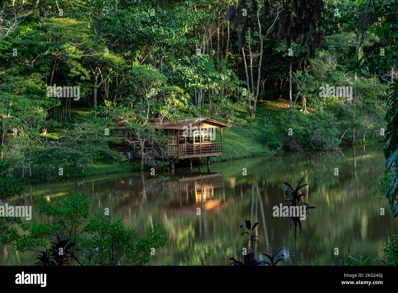 wooden house on the shore of a lake in nature Stock Photo
