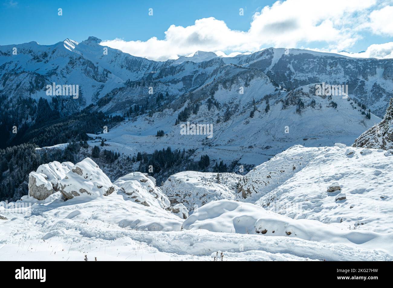Aerial view of snow capped mountains featuring pine trees under cloudy ...