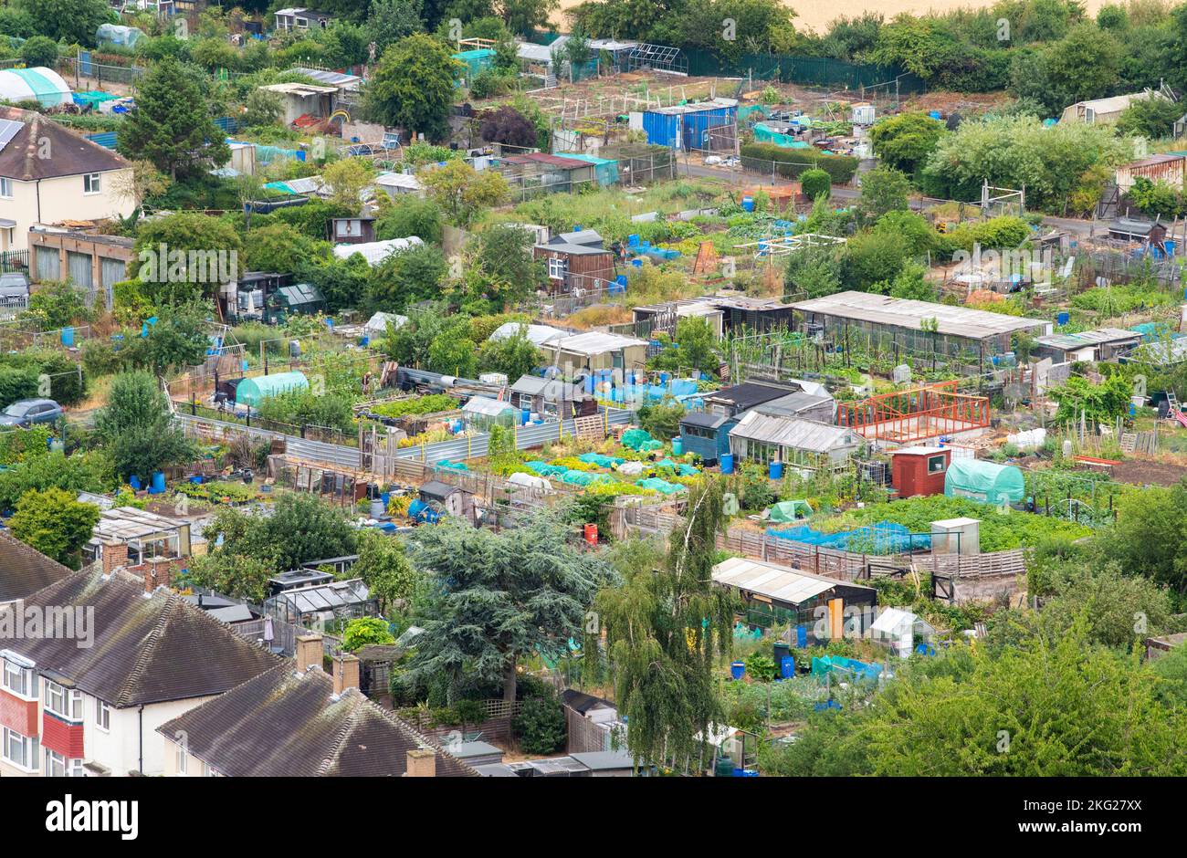 Aerial image of allotments in Clifton captured from the roof of