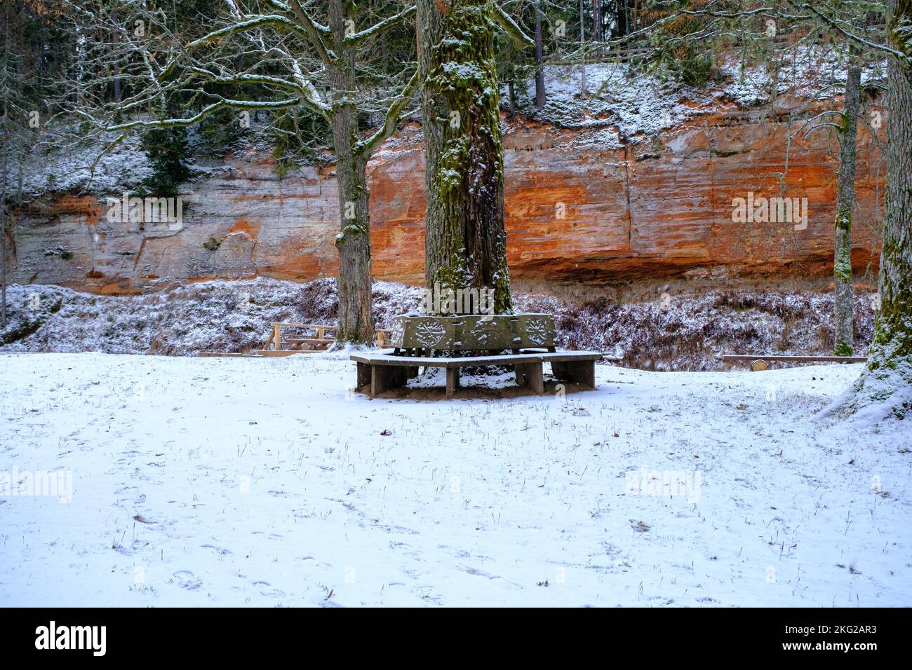 A bench in the shape of a snowy circle in a nature park. Encircles the trunk of an oak tree. In the background, a large red sandstone rock. Skanaiskal Stock Photo