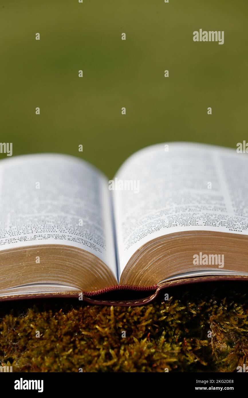 Open bible on a rock with moss. Stock Photo