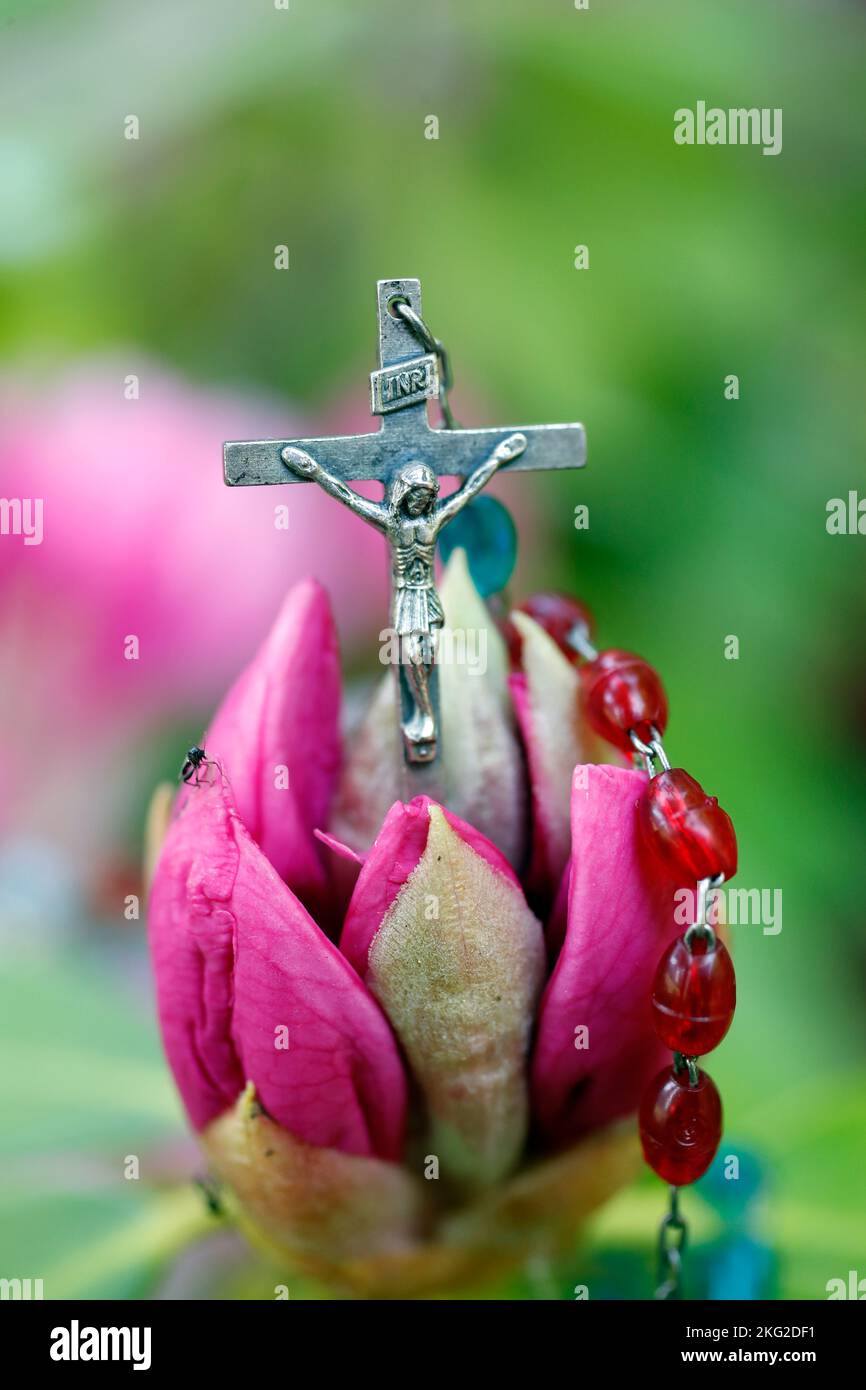 Catholic Rosary with Jesus on the cross on a pink rhododendron flower