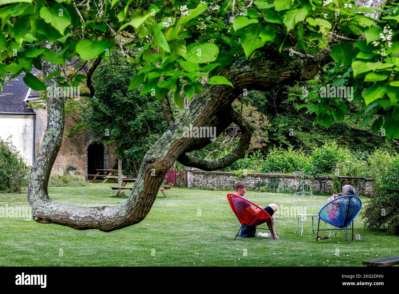 Adults relaxing in armchairs in a garden in in western France Stock Photo