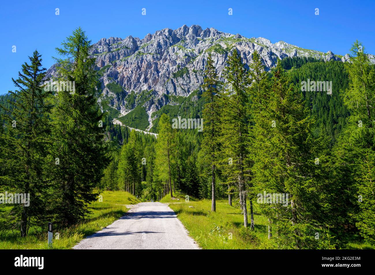 Mountain landscape near Sauris, Friuli-Venezia Giulia, Italy, at summer Stock Photo