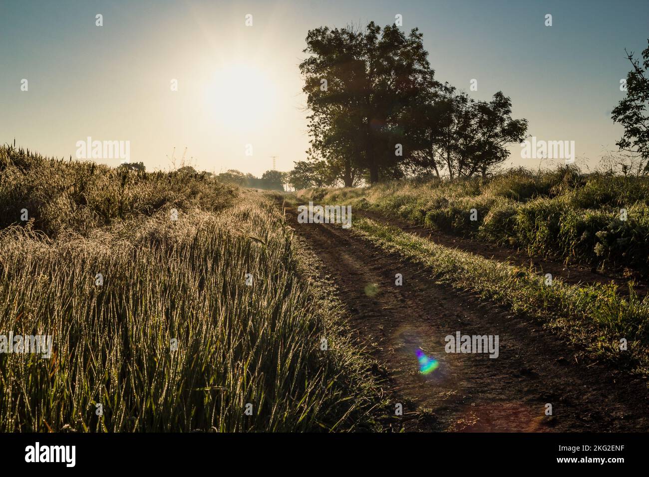 Rural panoramic picture hi-res stock photography and images - Alamy
