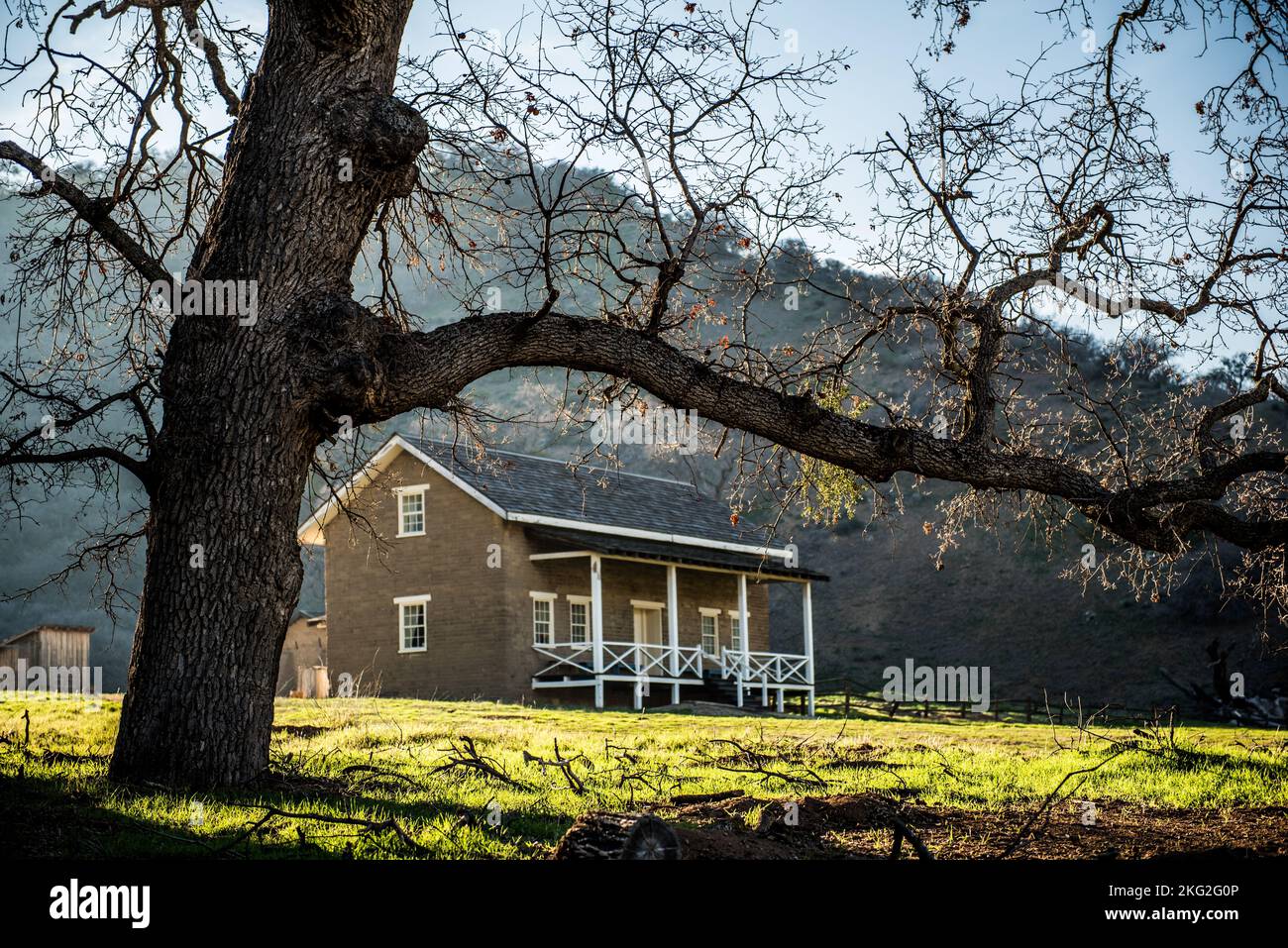 Big oak tree in front hi-res stock photography and images - Alamy