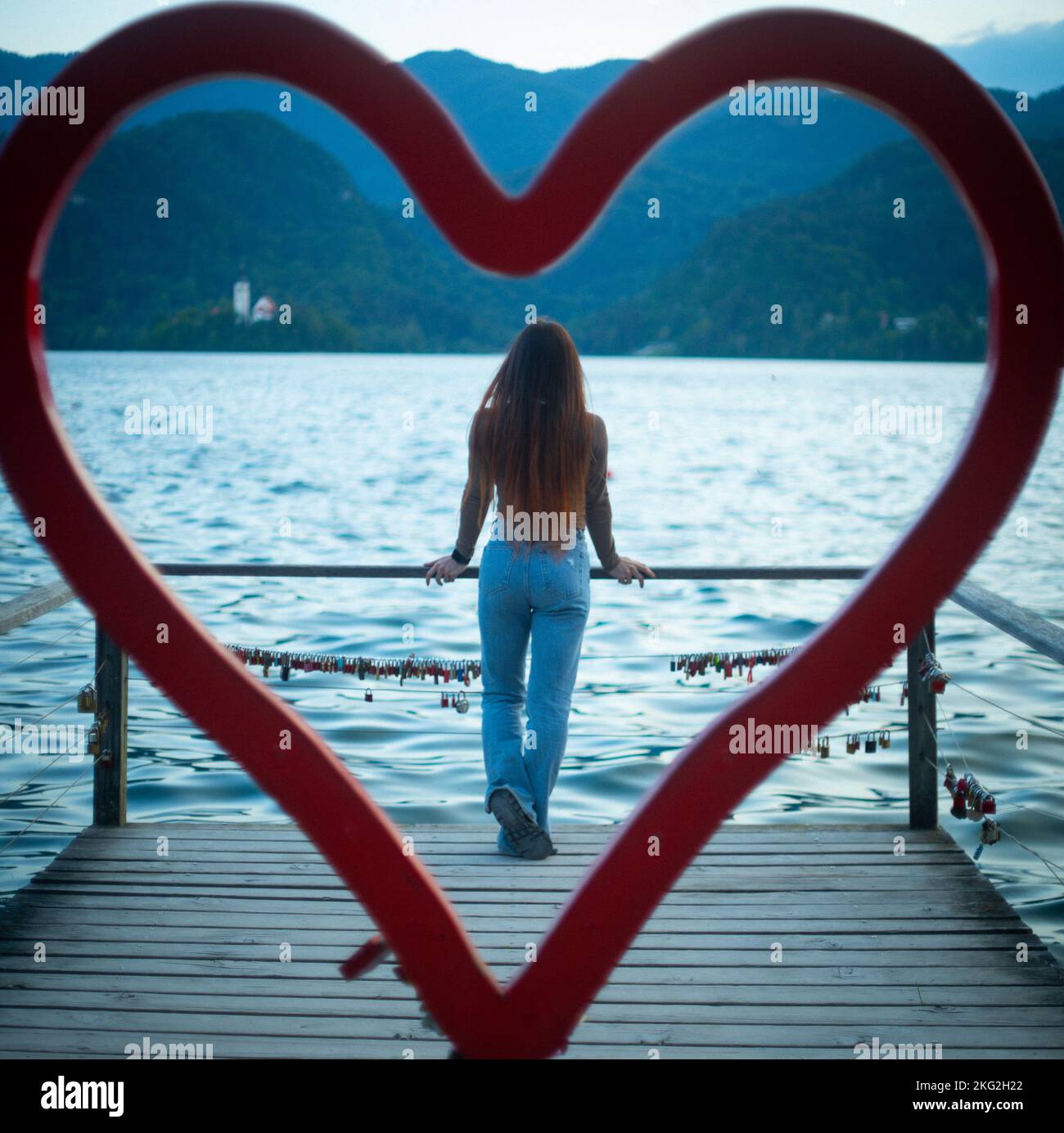 Human heart rear view hi-res stock photography and images - Alamy