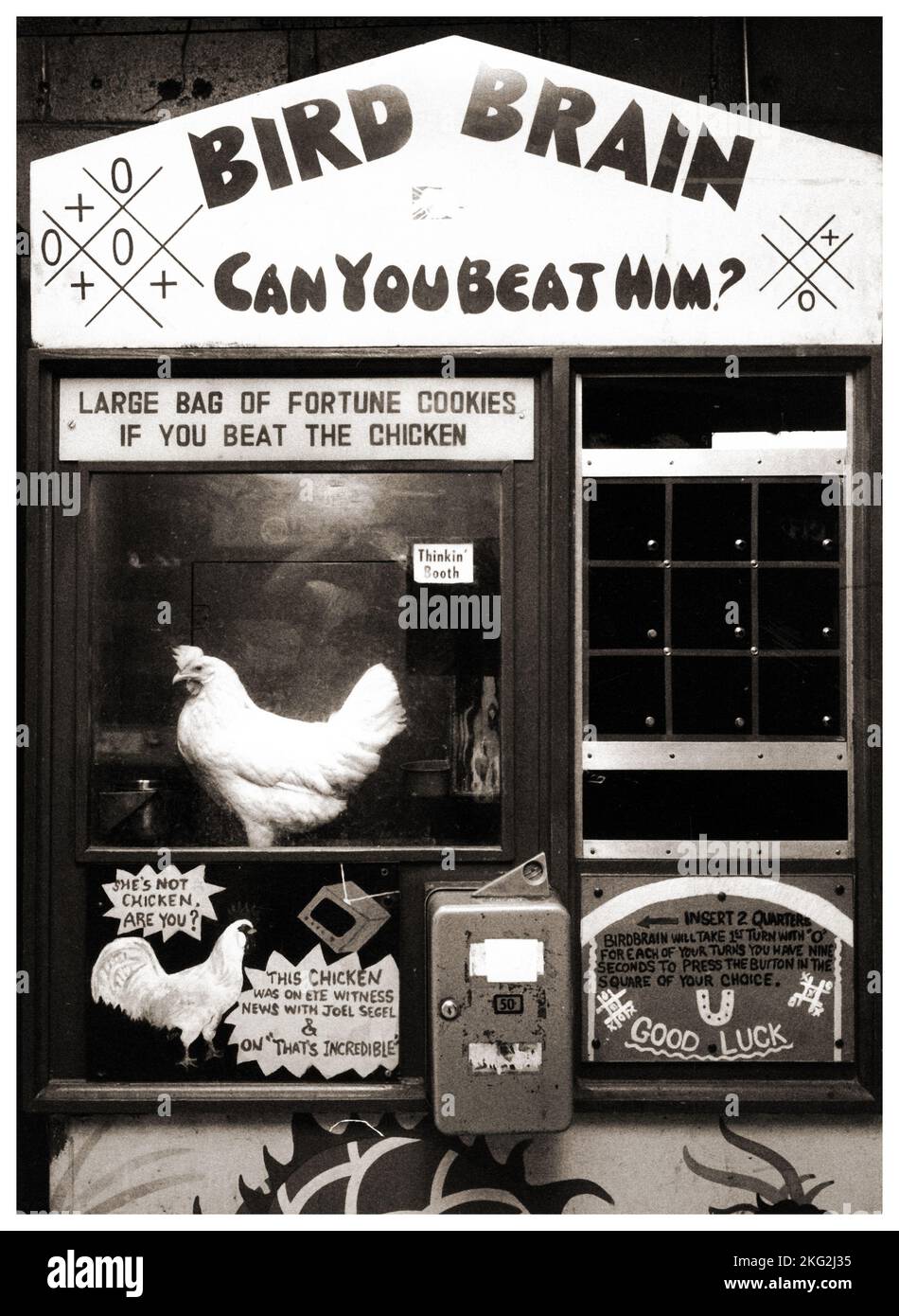 The Tic Tac Toe playing chicken at an arcade in Chinatown manhattan circa 1975. Stock Photo