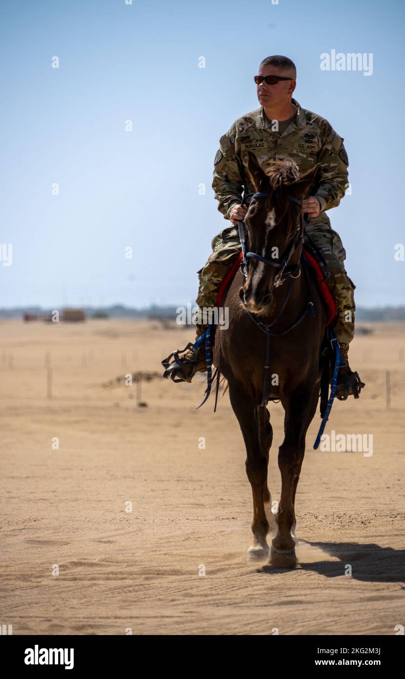 U.S. Army Col. Seth Morgulas, commander of the 369th Sustainment ...