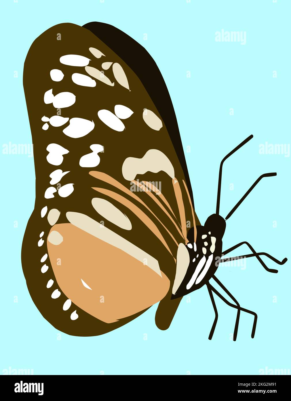 A brown butterfly isolated on a mint green background Stock Vector