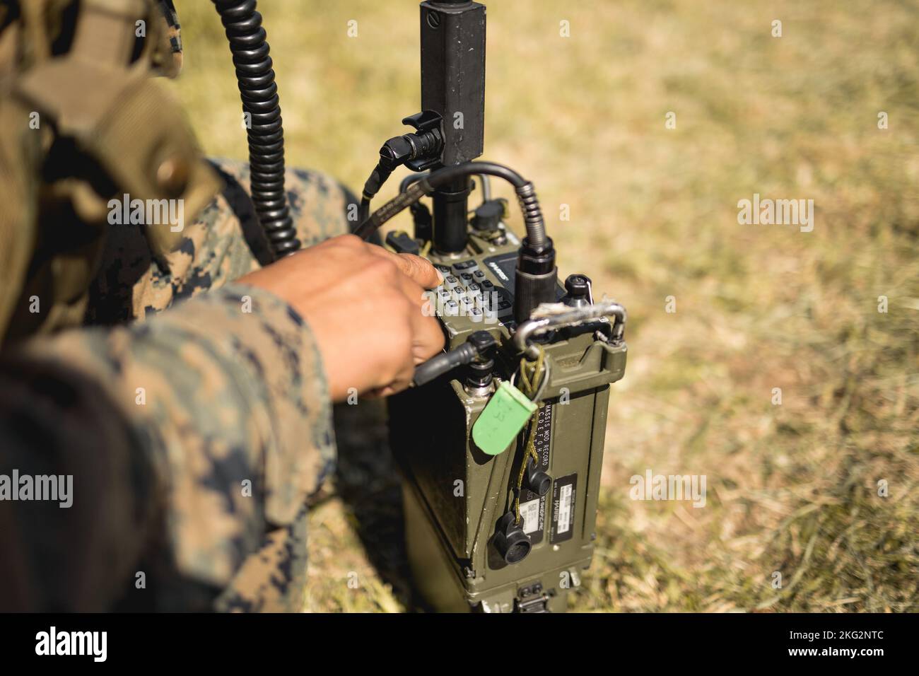 Anglico 3d hi-res stock photography and images - Alamy