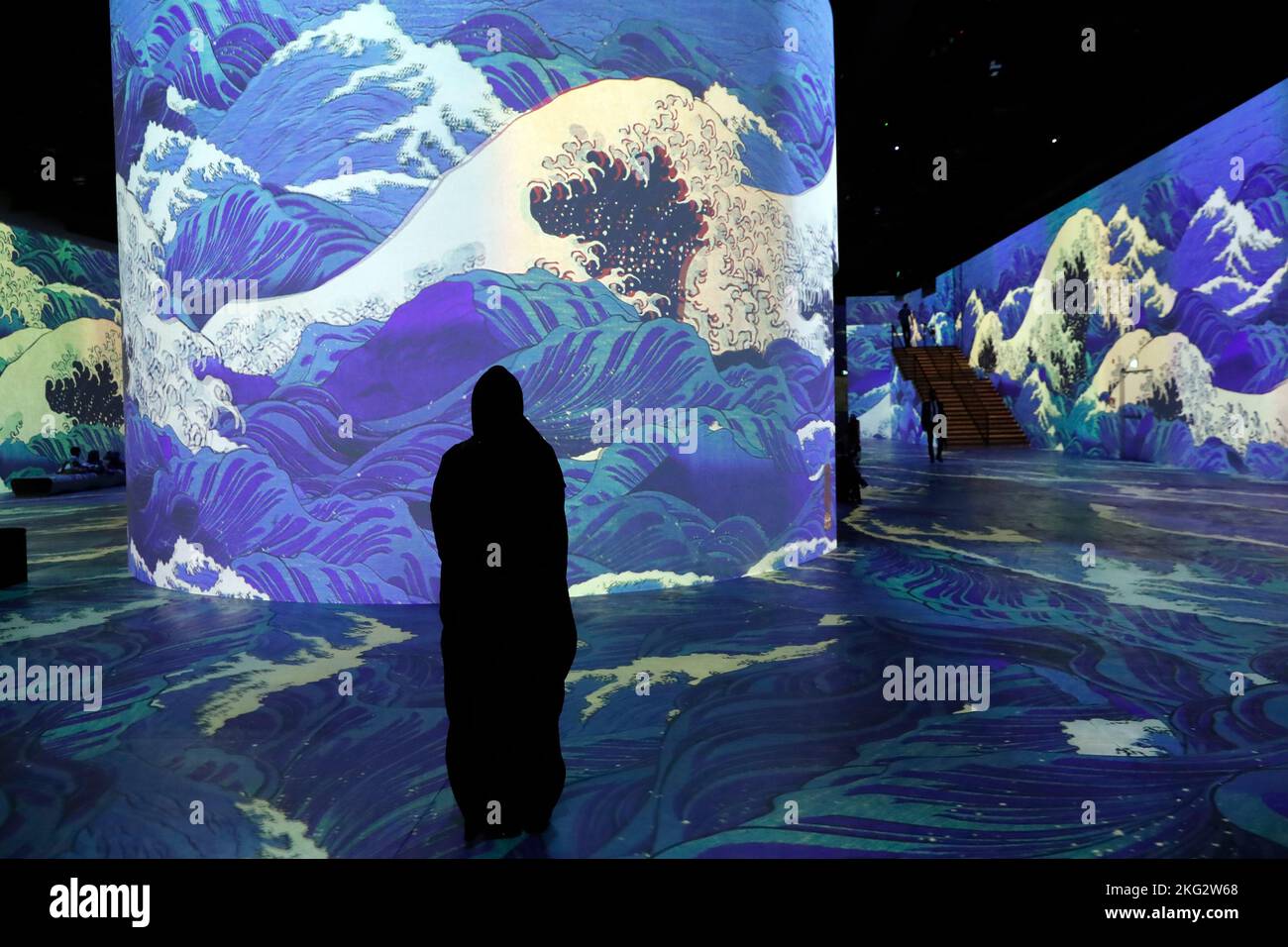 Japan Immersive Digital Art Exhibition at Infinity des Lumieres ...