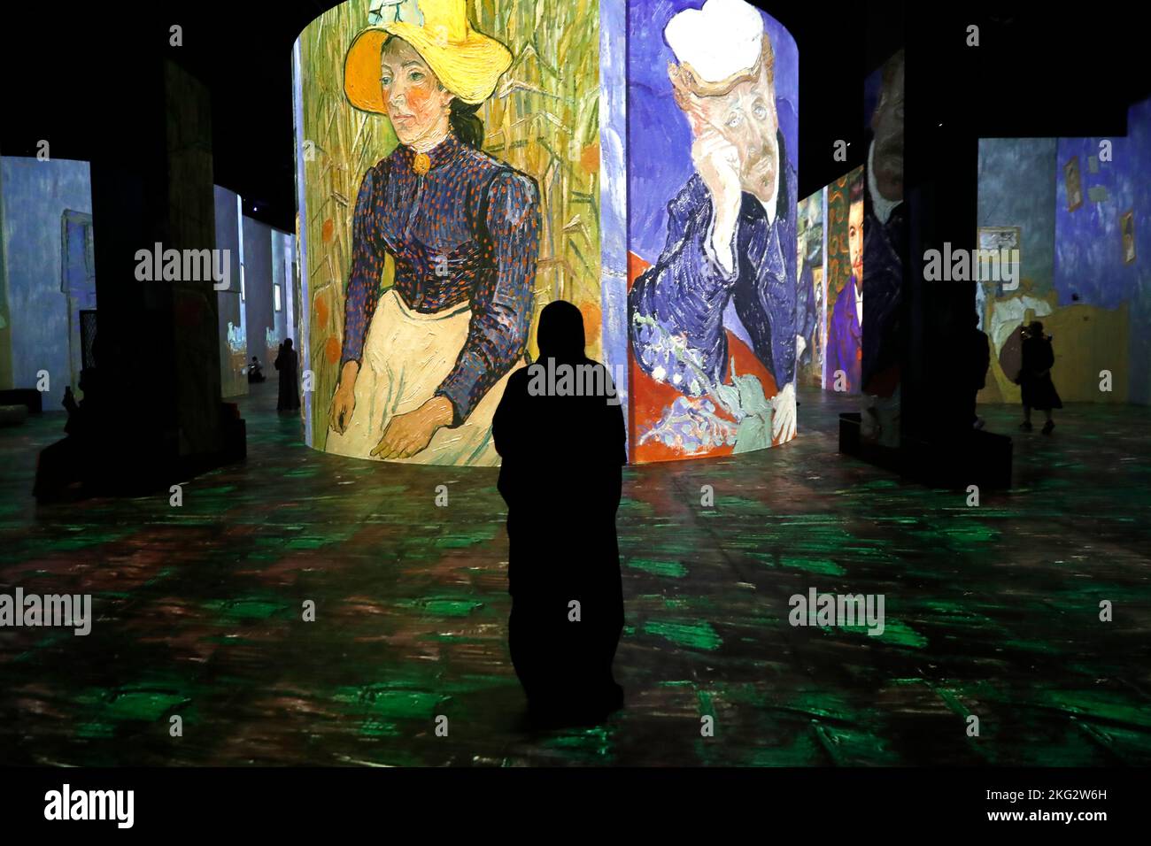 Van Gogh Immersive Digital Art Exhibition at Infinity des Lumieres ...