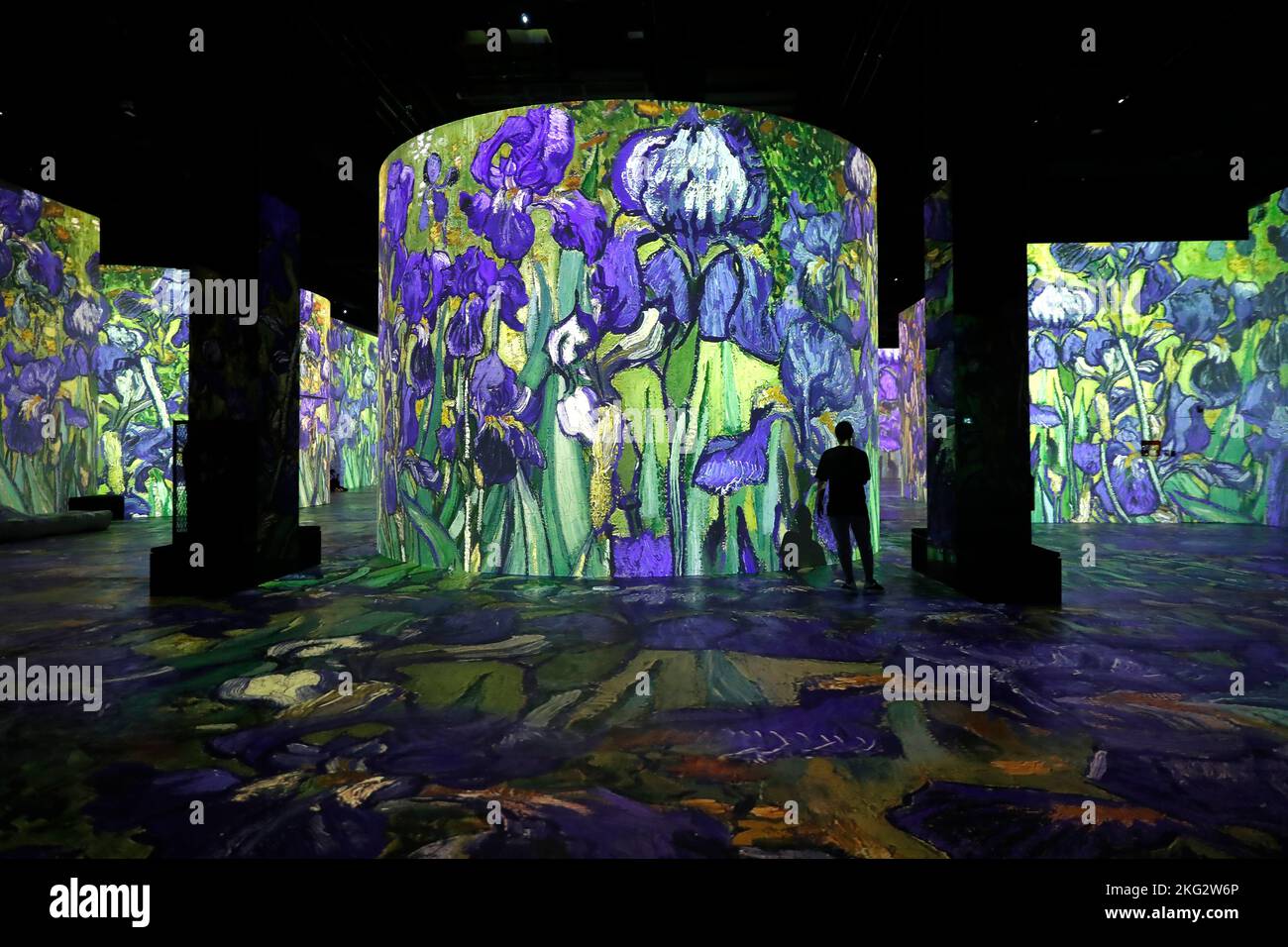 Van Gogh Immersive Digital Art Exhibition at Infinity des Lumieres ...