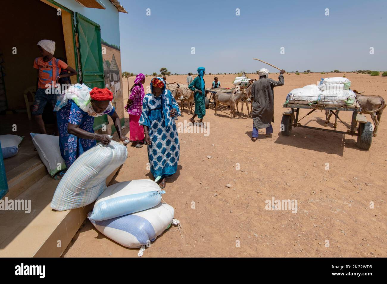 Loading of livestock food by members of a dairy farmers' cooperative in Northern Senegal Stock Photo