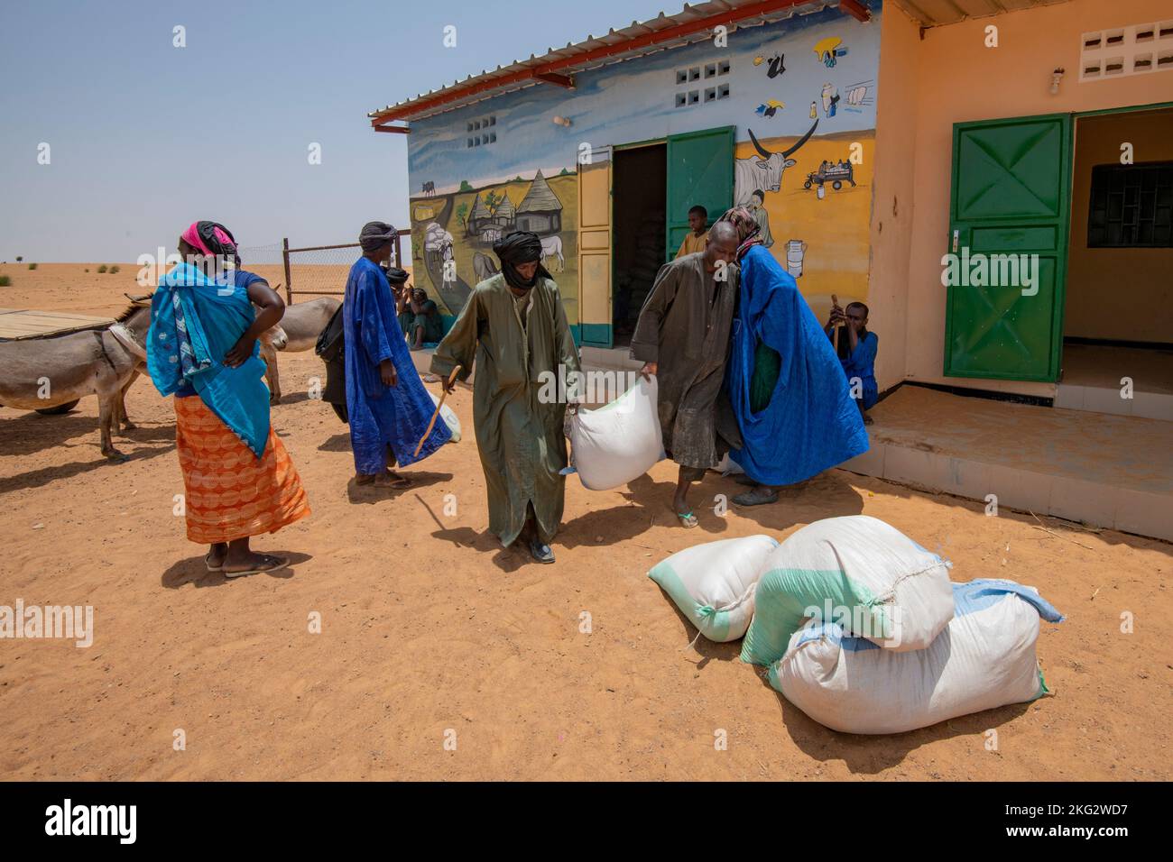 Loading of livestock food by members of a dairy farmers' cooperative in Northern Senegal Stock Photo