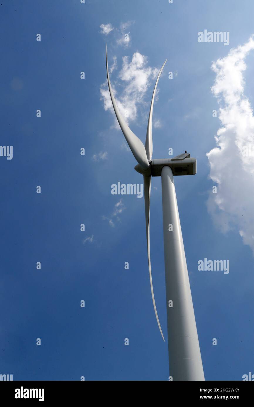 Wind power provide the mechanical power through wind turbines to turn electric generators