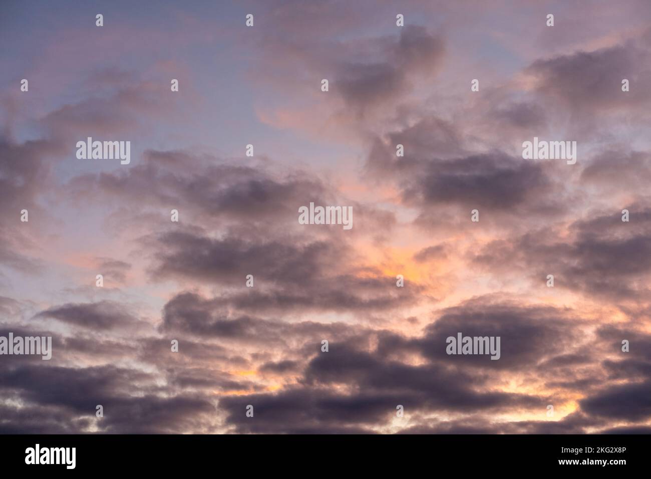 Landscape photo of big, pink cumulonimbus clouds in a stormy sky at sunset. Moody sunset or sunrise sky. High contrasts in a stormy sky. mammatuses Stock Photo