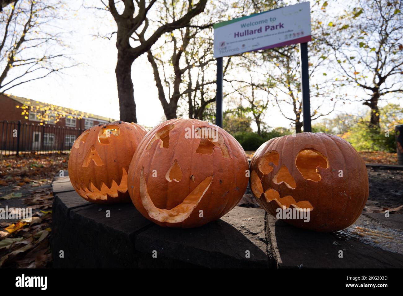Carved pumpkins in Hullard Park Old Trafford Manchester UK.  Picture credit garyroberts/worldwidefeatures.com Stock Photo