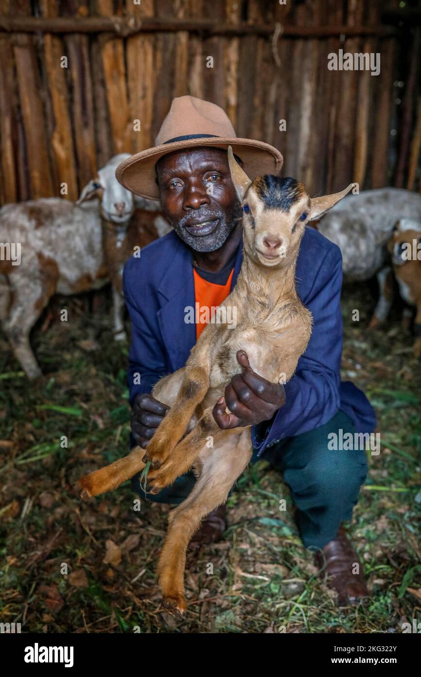 Man with sheep and goats in his stable in a village near Gicumbi, northern province, Rwanda Stock Photo