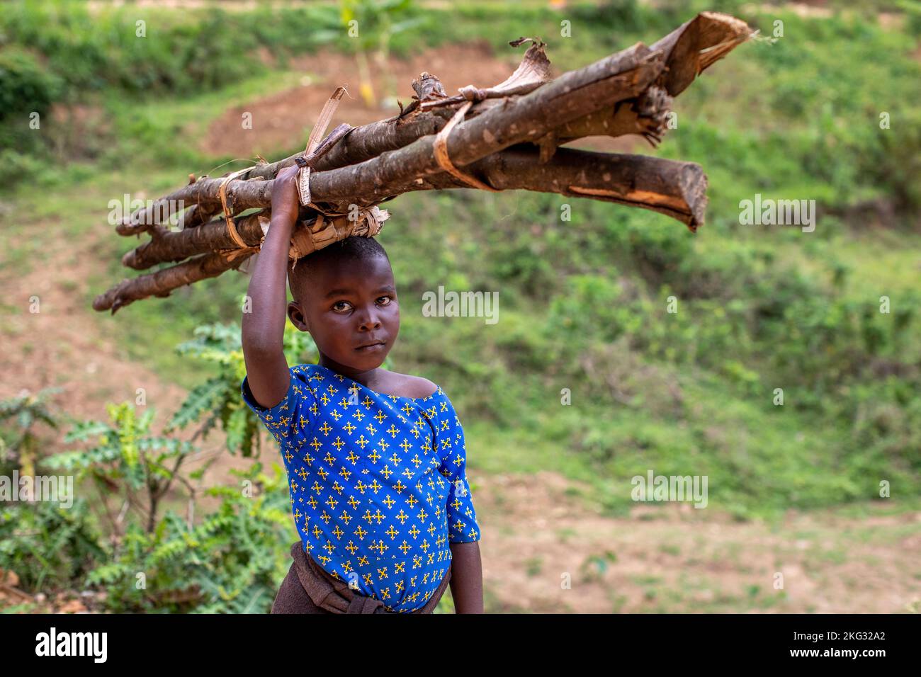 Girl carrying firewood in western Rwanda Stock Photo